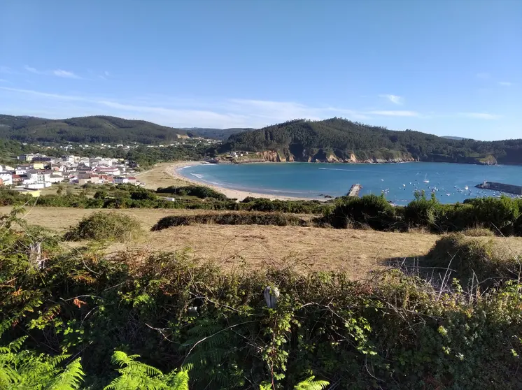 A Concha, Espasante